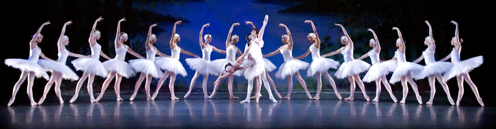 Swan Lake_Mission